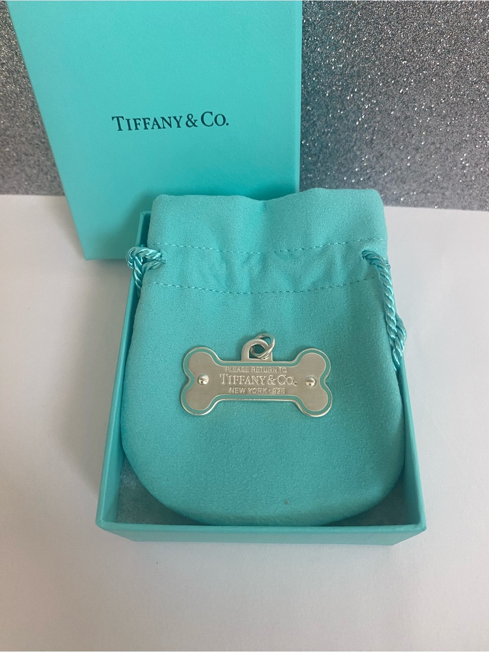Tiffany & Co. Silver Blue Outline Dog Bone